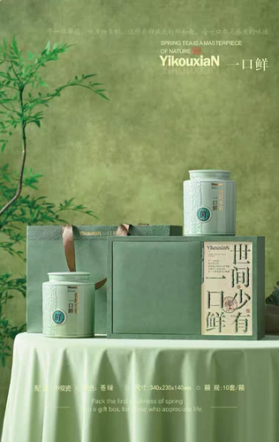 新款绿茶陶瓷包装盒空礼盒碧螺春龙井茶白茶通用礼盒绿茶包装空盒