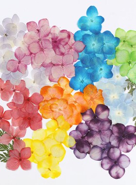 吸色干花绣球diy手工相框滴胶