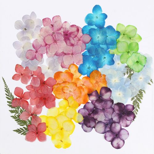 吸色干花绣球diy手工相框滴胶
