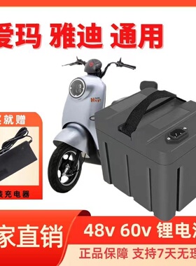 48V新国标电动车锂电池台铃爱玛新日星恒绿源电瓶16AH20AH12A