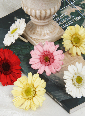 日本大地农园非洲菊进口永生花太阳花保鲜花03170玻璃罩diy材料包