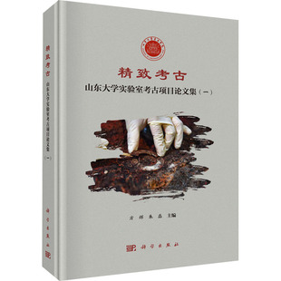 一 精致考古 山东大学实验室考古项目论文集