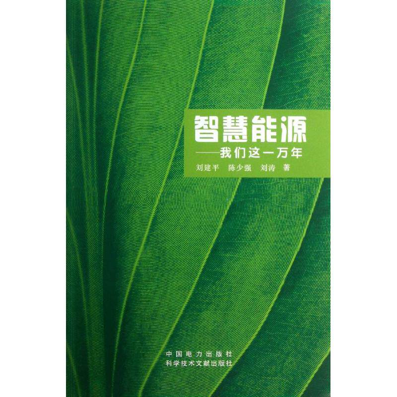 智慧能源  刘建平,陈少强,刘涛 著 科学技术科技综合类读物图书 专业