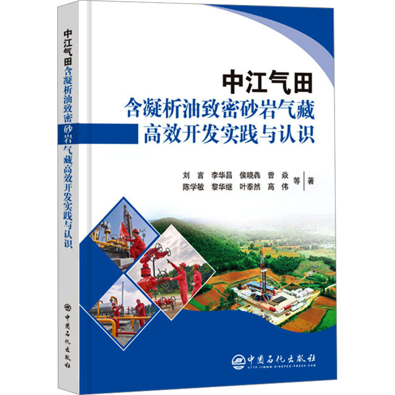 中江气田含凝析油致密砂岩气藏高效开发实践与认识 刘言,李华昌,侯晓犇,曾焱,陈学敏,黎华继,叶泰然,高伟 著 能源科学 专业科技