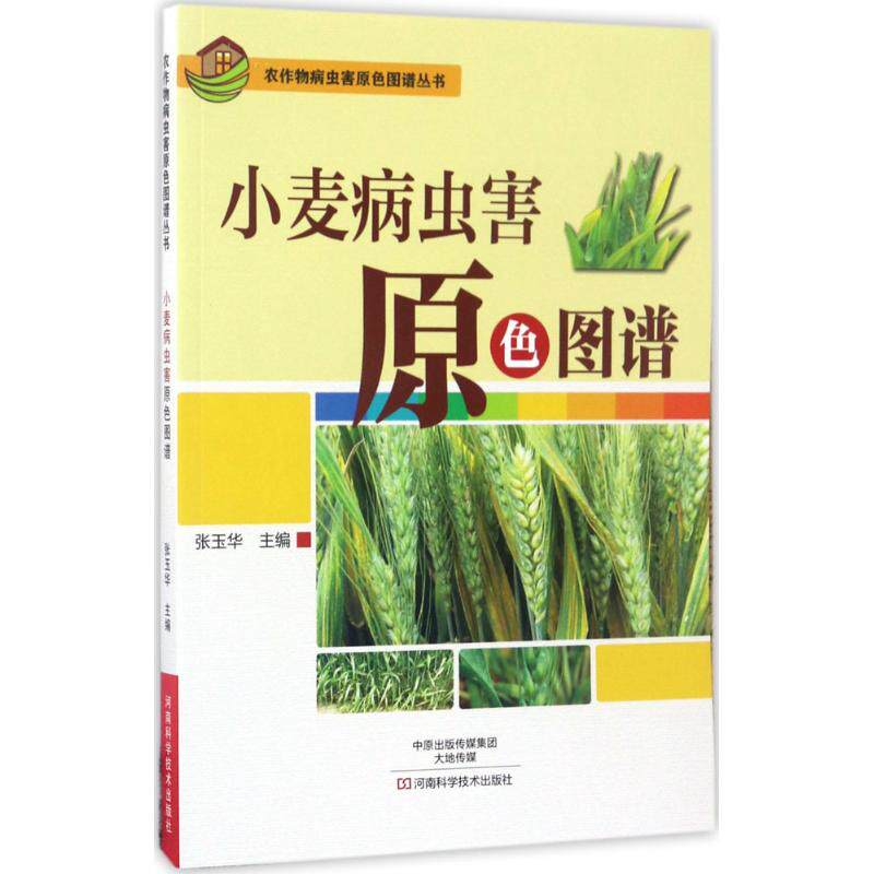 小麦病虫害原色图谱 张玉华 主编 动物饲养喂养技术入门教程图书 科学