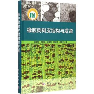 橡胶树产量形成机制和树皮病害机制书籍 橡胶树树皮结构与发育 影响 割胶和病害对树皮超微结构 农业科学专业教程图书 田维敏