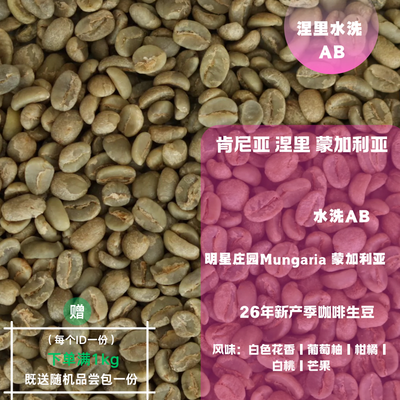 26新产季咖啡生豆 肯尼亚 涅里 蒙加利亚 水洗 AB 咖啡包邮