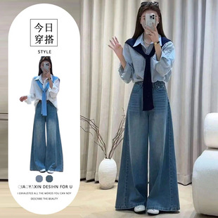进口单件/2026春季新款女装韩系显瘦学院风披肩Polo领长袖衬衫牛