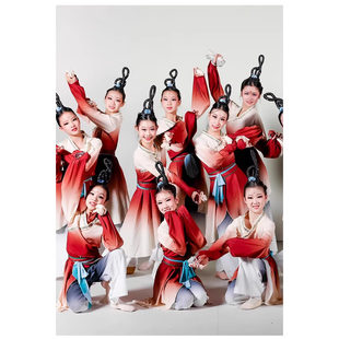 古典舞水袖 舞蹈服练功艺考服 演出服惊鸿舞群舞表演博物馆之夜同款