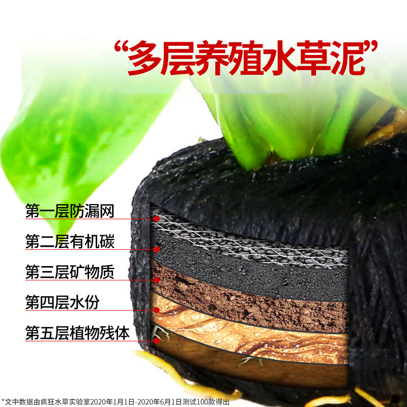 鱼缸水草植物活体阴性生态水培绿植懒人造景坨草套餐水榕真鱼