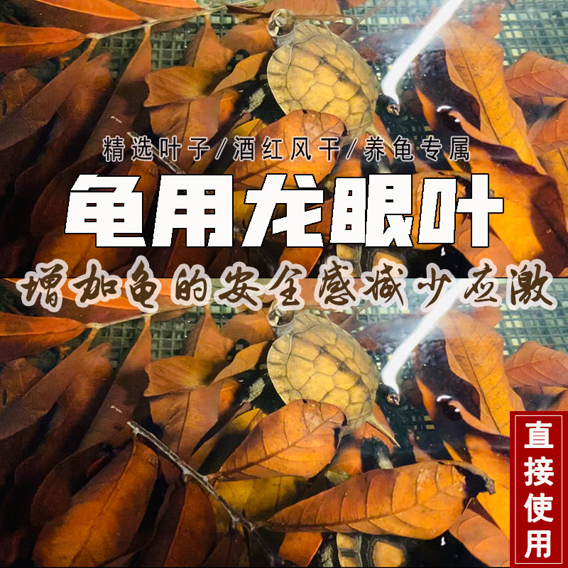 龙眼叶免煮乌龟躲避龟缸周转箱改善水质造景腐皮烂甲龟用养龟叶子,宠物/宠物食品及用品,PH调节剂,淘宝优惠券,粉丝福利购,淘宝优惠卷