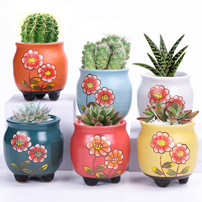 创意手绘多肉花盆陶瓷特价清仓仙人球专用粗陶透气拇指盆小号圆形
