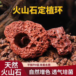 水草固定种植红色打孔火山石大块定植环鱼缸造景装饰底座钻孔