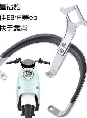 适用于绿源MODA11小刀泡泡糖颜可DM120靠背后架后提车扶手后靠垫