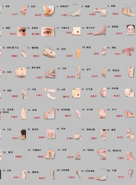 68张人体穴位健康养生调理贴纸中医按摩学习装饰笔记本防水贴画