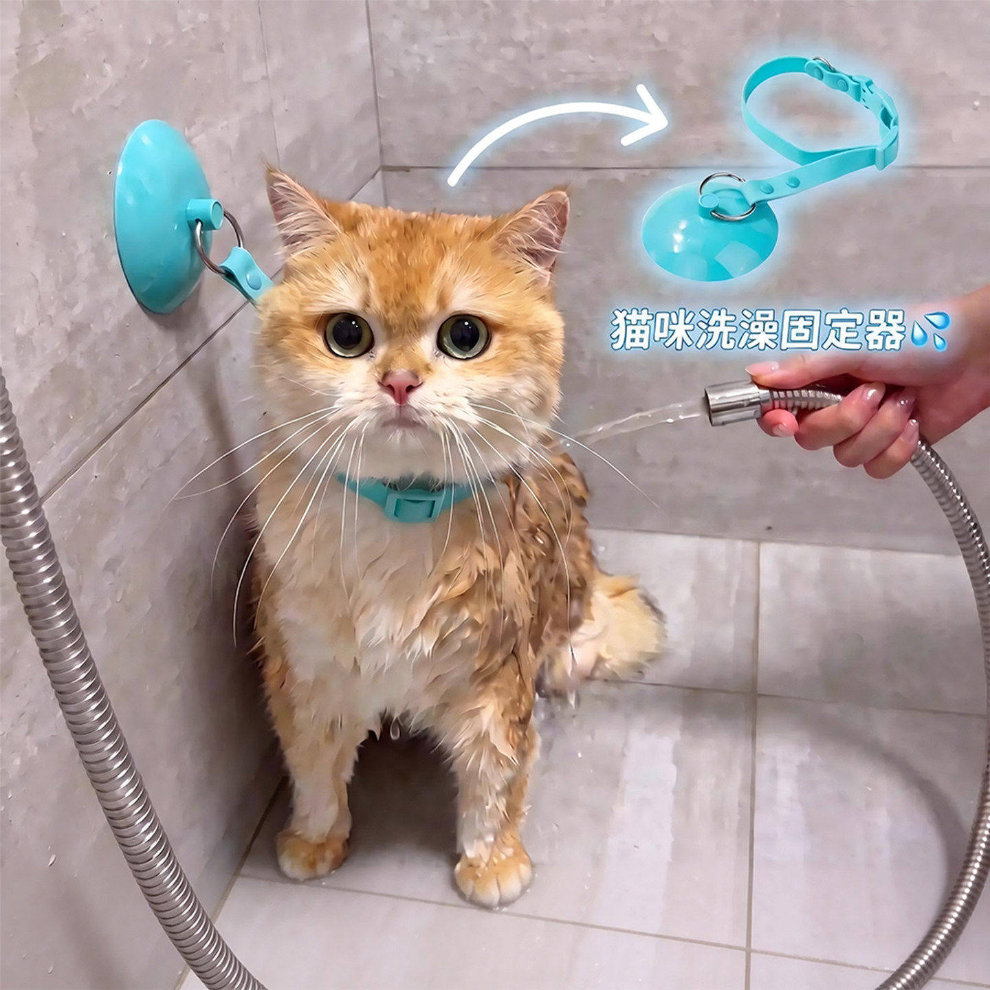 猫咪洗澡固定器宠物剃毛神器拴狗绑狗绳吸盘式狗狗美容吊绳牵引绳图片