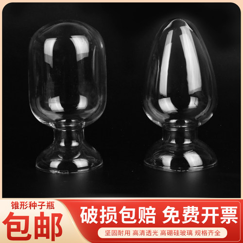 锥形加厚玻璃透明化工样品种子瓶