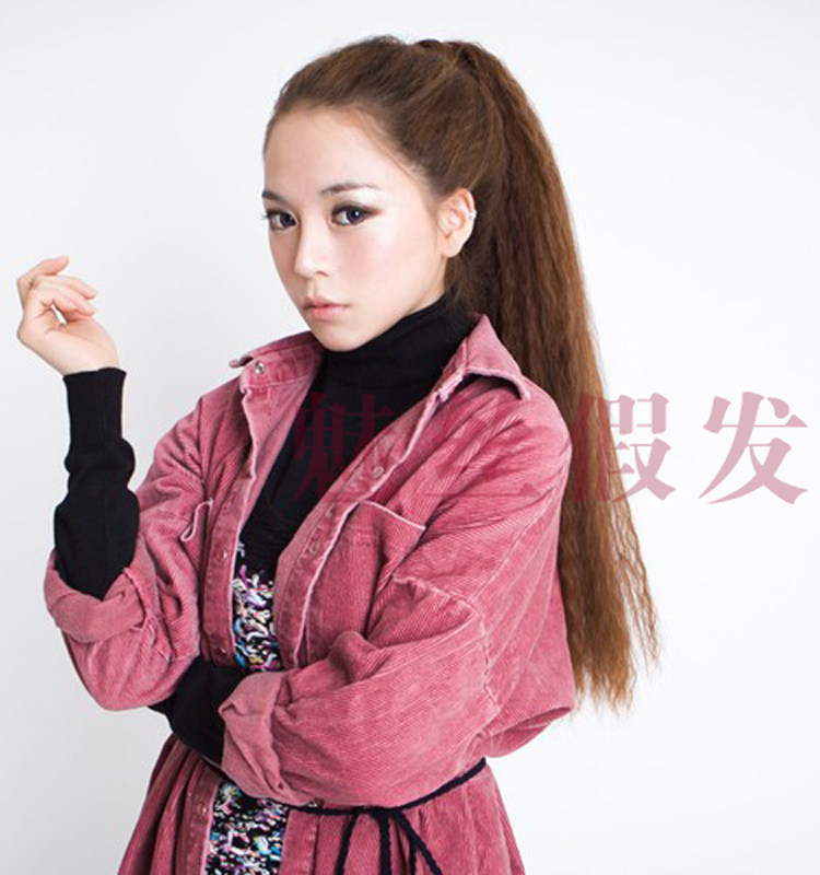 Extension cheveux - Chignon - Ref 237137 Image 3