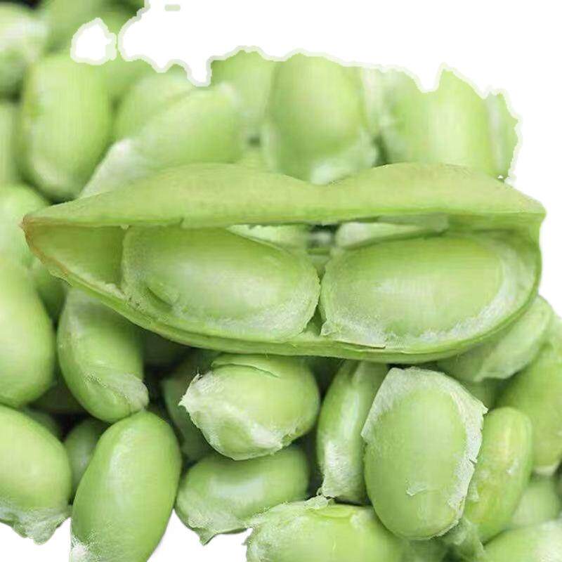 安徽阜阳特产新鲜毛豆农家自种现摘现发带壳豆子颗粒饱满炒菜美食,水产肉类/新鲜蔬果/熟食,新鲜豆类,淘宝优惠券,粉丝福利购,淘宝优惠卷