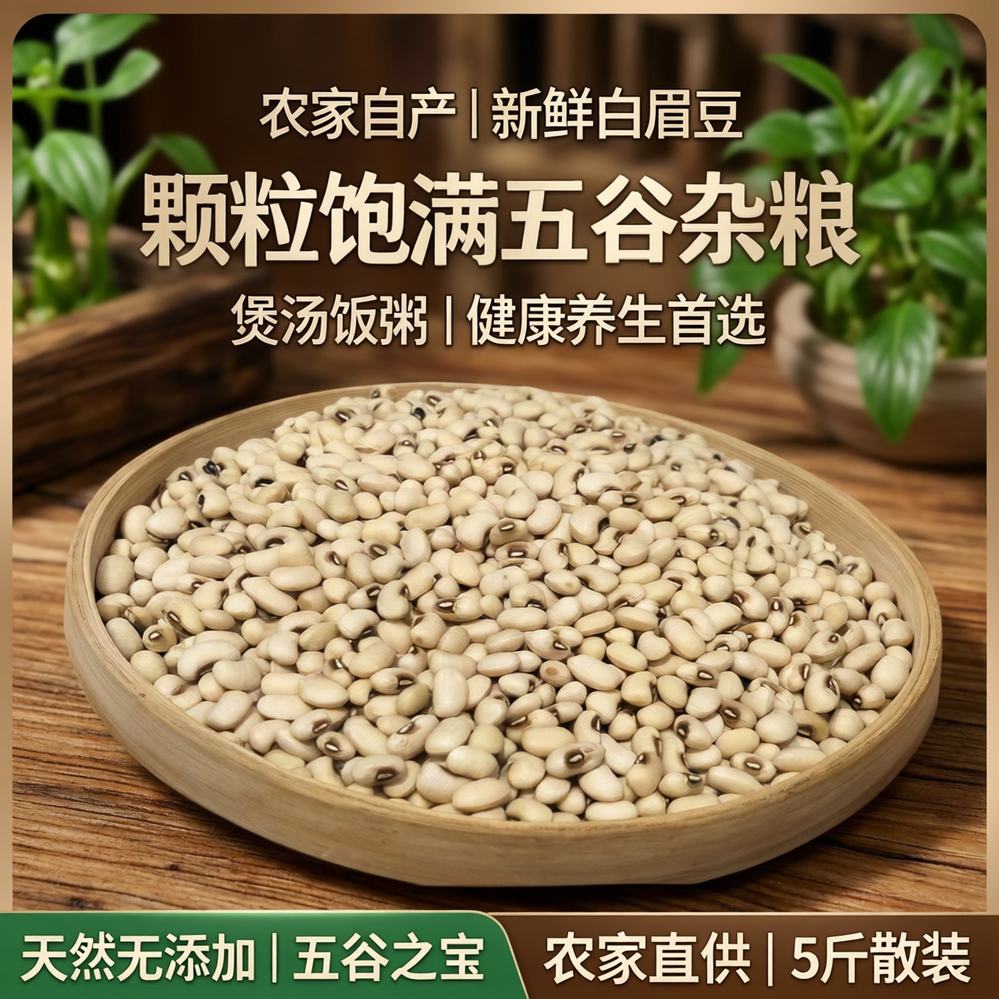 农家自产新白眉豆煲汤饭熬粥豆种籽白豆颗粒饱满5斤散装五谷杂粮