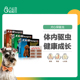 犬心保小型犬狗狗幼犬体内驱虫药泰迪心丝虫犬用宠物打虫药6粒装