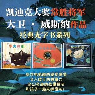 正版单本可选 经典无字书系列绘本图画书华夫先生海底的秘密疯狂星期二 大卫威斯纳作品 儿童故事书