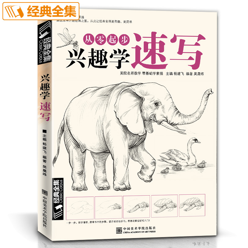 经典全集从零起步兴趣学速写 初学者入门零基础速写教学 铅笔素描 植物动物画书临摹教程教材 杨建飞著