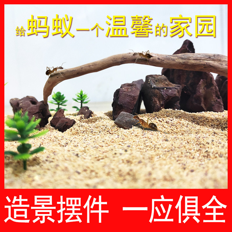生态巢蚂蚁城堡造景盒蚁巢饲养盒扩展摆件石头装饰蚂蚁屋