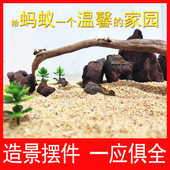 生态巢蚂蚁城堡造景盒蚁巢饲养盒扩展摆件石头装 饰蚂蚁屋