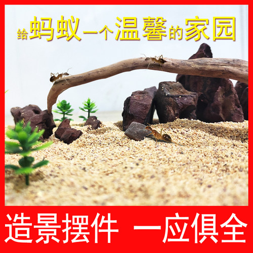 生态巢蚂蚁城堡造景盒蚁巢饲养盒扩展摆件石头装饰蚂蚁屋