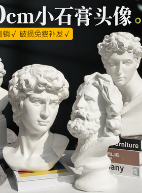 大卫石膏雕像维纳斯小石膏像塑素描艺术摆件美术婚庆写生画室装饰
