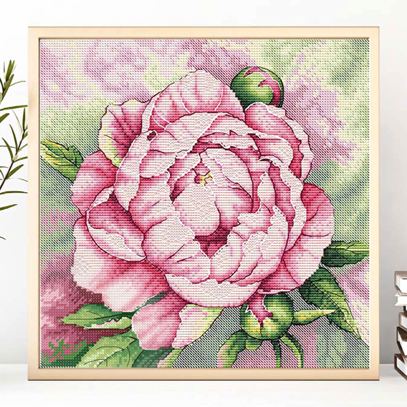 小小鱼DMC绣线十字绣套件 B1614娇羞的牡丹 花卉新品手工刺绣