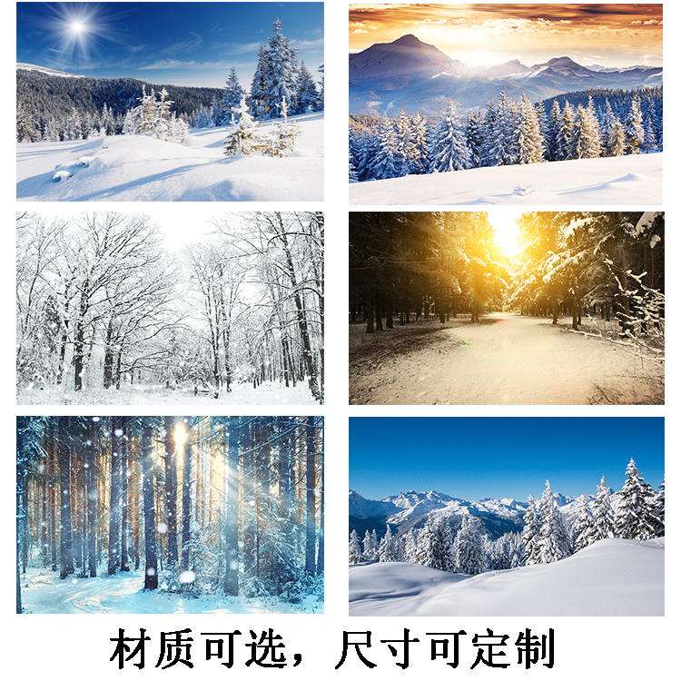 冬天雪山雪景冰山海报画森林树木雪景装饰画家居卧室沙发背景挂画图片