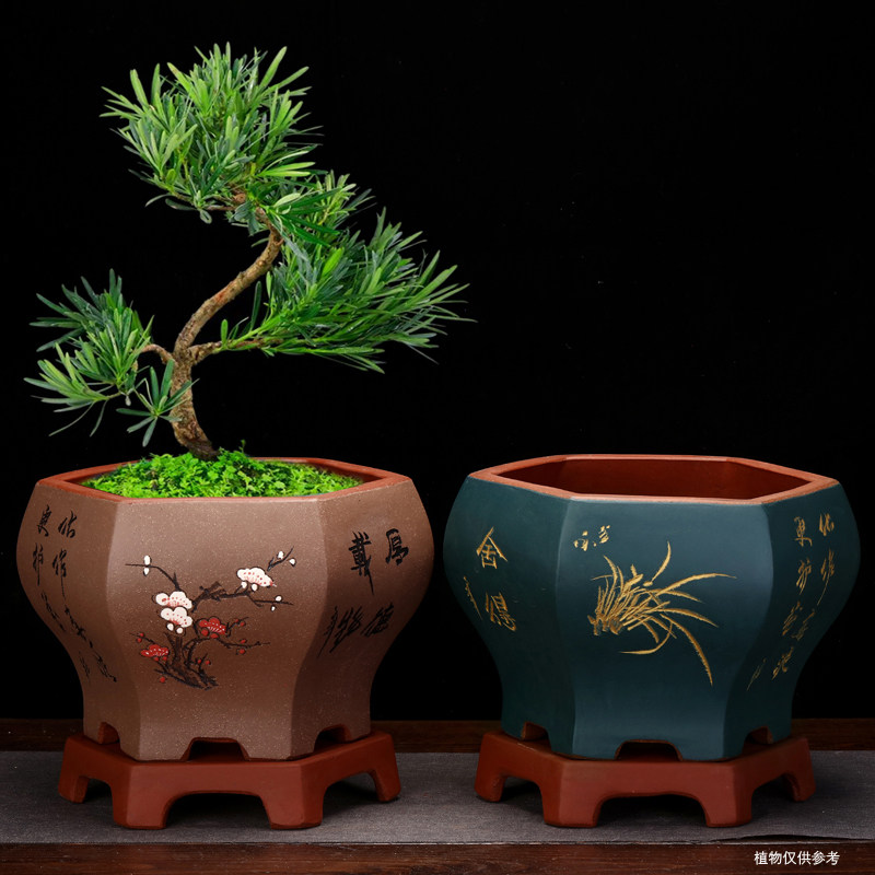 宜兴紫砂宜兴紫砂花盆君子兰盆盆景盆古典创意阳台盆栽六方花盆