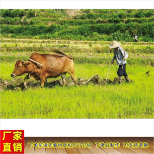 乡村耕田图壁画农耕图农家乐咖啡馆怀旧装饰画放牛图耕田图贴画