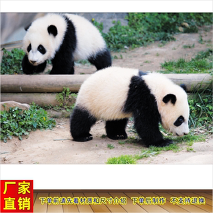 大熊猫图客厅卧室宿舍墙壁装饰画黑白熊猫壁画国宝可爱熊猫图贴画