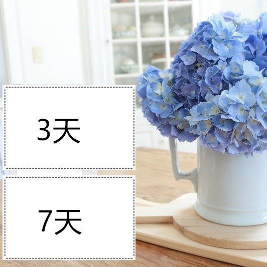 AZO护理女性异味白带黄