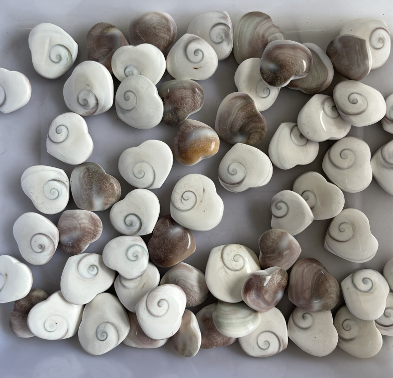 天然太阳贝心形吊坠海螺贝壳化石挂件diy项链毛衣链 可做标本