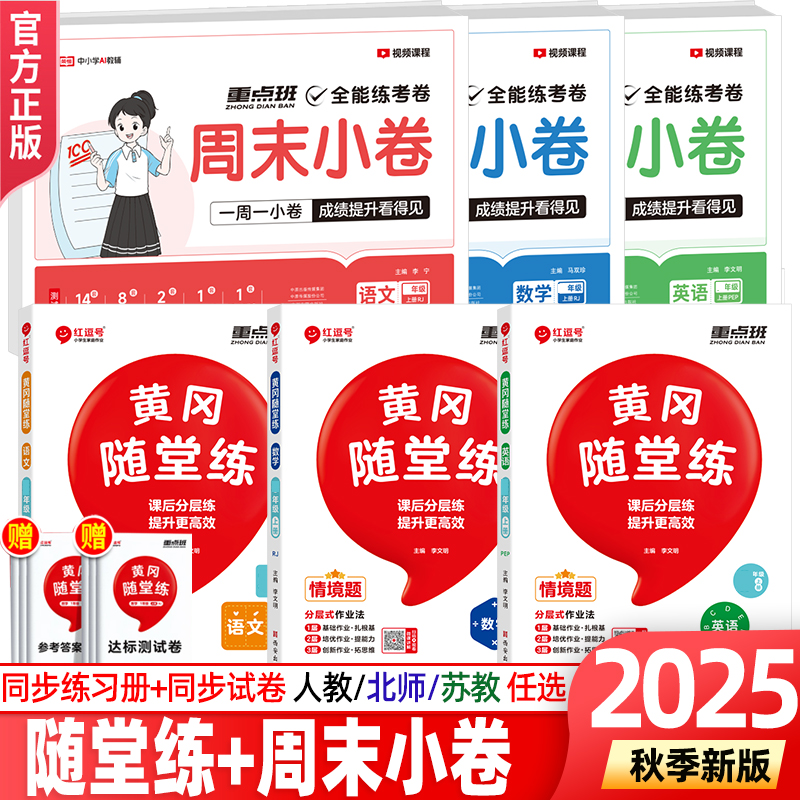 荣恒教育红逗号随堂练全能练考卷