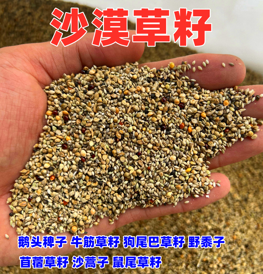 沙漠草籽鸟食鹦鹉玄凤牡丹虎皮营养繁殖换羽毛高蛋白混合鸟食鸟粮