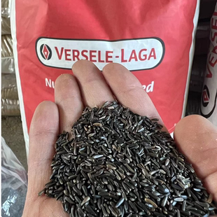 黑尖鸟食尼日尔草籽 玉鸟芙蓉鸟金青大金黄麻料鸟粮鸟饲料