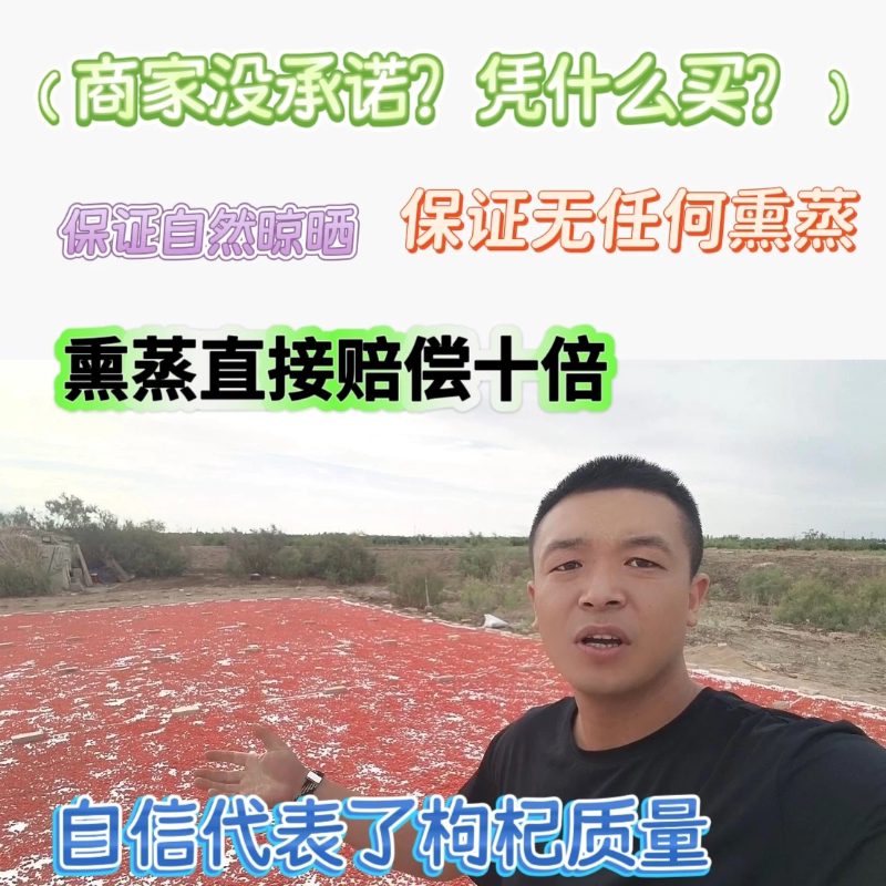 小袁】河西走廊瓜州枸杞头茬（中颗粒）纯正肉厚无亚硫无科技500g