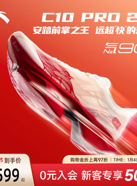 安踏×徐悲鸿奔马图联名C10 PRO 2马拉松跑步鞋马年限定运动鞋男
