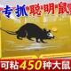 强力粘鼠板宿舍强力粘鼠标大号粘鼠贴灭鼠强力粘鼠标老鼠粘板