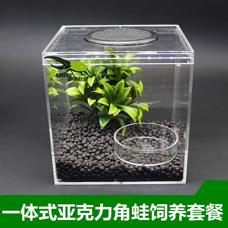 宠物角蛙蝌蚪活体饲养箱套装饲料蛙粮营养品垫材蛙泥黄金绿角活物