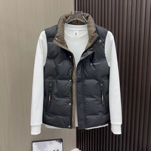【50绒有报告】553秋冬新款时尚感免洗立领羽绒马甲853-1P90图片