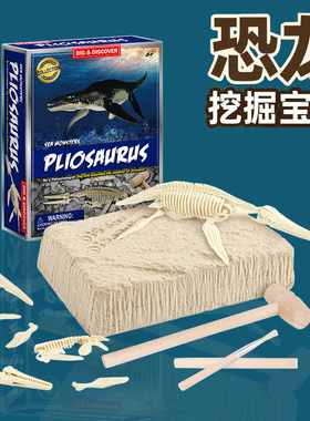 恐龙化石考古挖掘玩具挖宝藏三角梁龙款儿童益智拼装骨架DIY宝石
