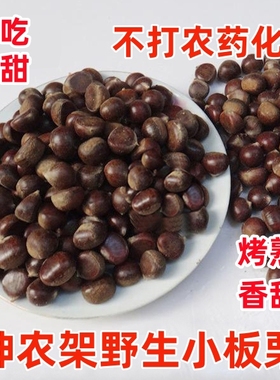 2025年神农架野生小板栗生吃即食油栗山栗3斤5斤包邮新鲜生毛栗子