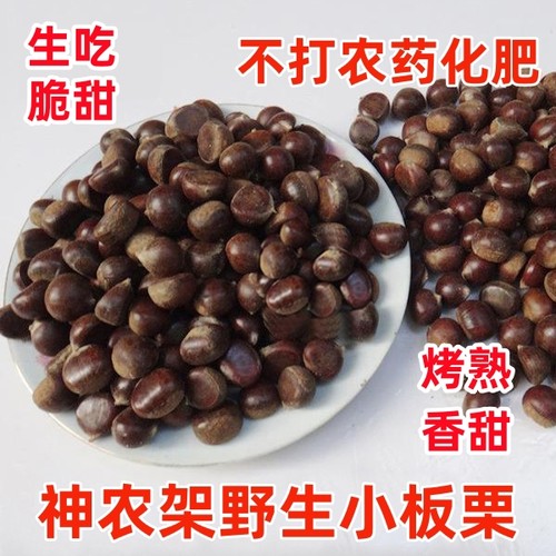 野生小板栗神农架新鲜毛栗子生吃