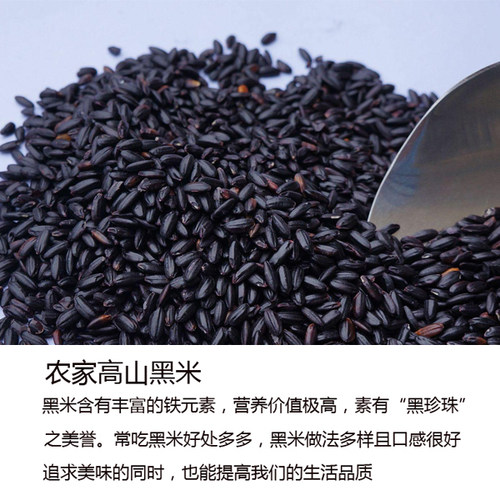 农家肥种植不打药自然晒干好黑米